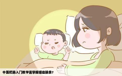 中医把脉入门教学需掌握哪些脉象？