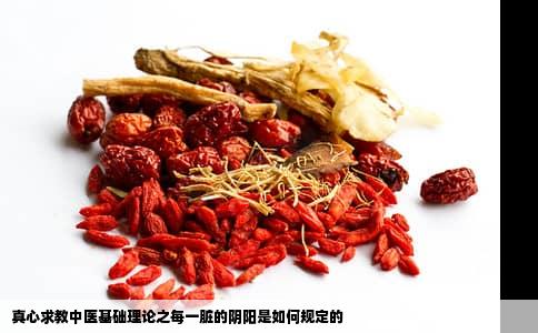 真心求教中医基础理论之每一脏的阴阳是如何规定的