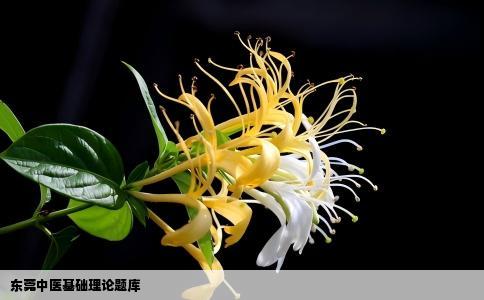 东莞中医基础理论题库