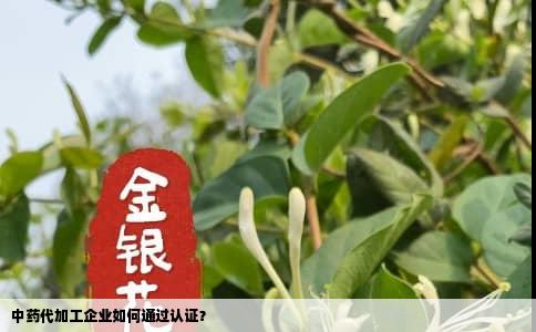 中药代加工企业如何通过认证？