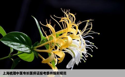 上海梳理中医专长医师证报考条件细则规范