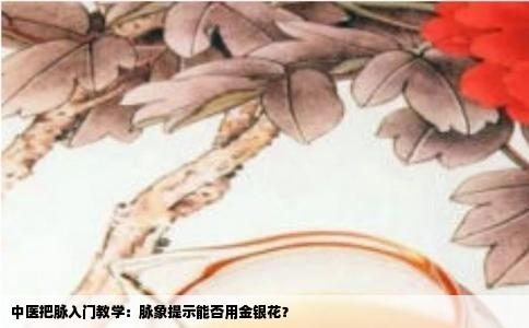 中医把脉入门教学：脉象提示能否用金银花？