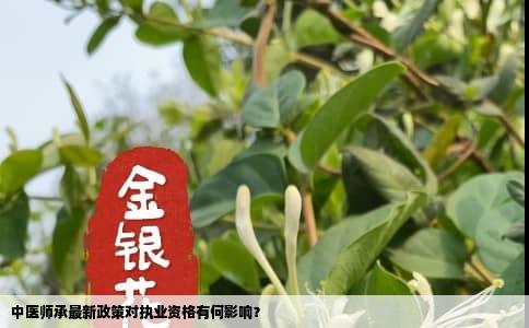 中医师承最新政策对执业资格有何影响？