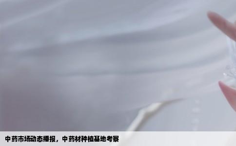 中药市场动态播报，中药材种植基地考察