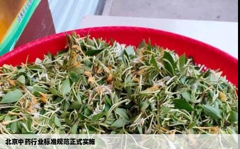 北京中药行业标准规范正式实施