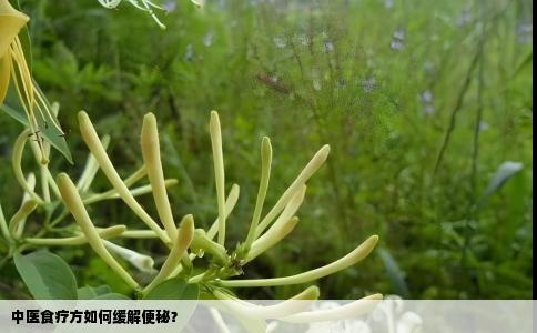 中医食疗方如何缓解便秘？