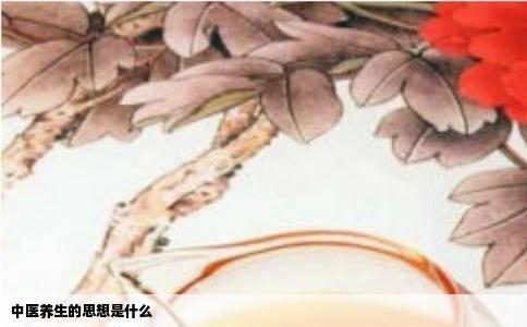 中医养生的思想是什么