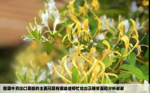 我国中药出口面临的主要问题有哪些请帮忙给出正确答案和分析谢谢
