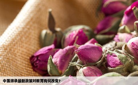 中医师承最新政策对教育有何改变？