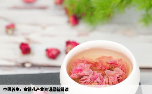 中医养生：金银花产业资讯最新解读
