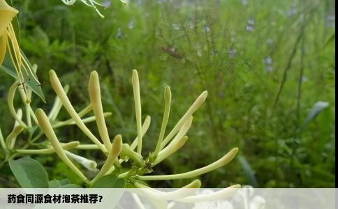 药食同源食材泡茶推荐？