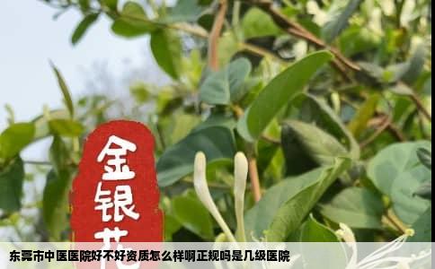 东莞市中医医院好不好资质怎么样啊正规吗是几级医院