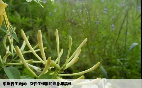 中医养生要闻：女性生理期的温补与禁忌