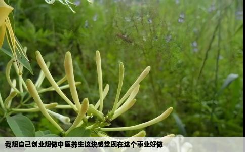 我想自己创业想做中医养生这块感觉现在这个事业好做