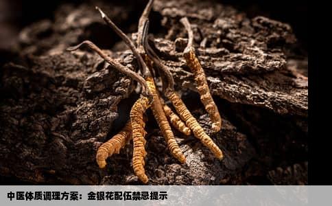 中医体质调理方案：金银花配伍禁忌提示