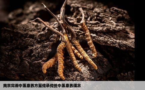南京完善中医康养方案传承传统中医康养理念