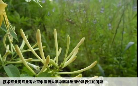 技术专业跨专业考北京中医药大学中医基础理论及养生的问题