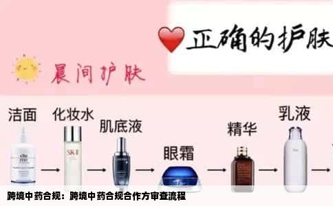 跨境中药合规：跨境中药合规合作方审查流程
