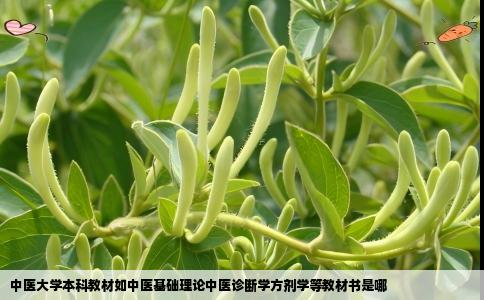 中医大学本科教材如中医基础理论中医诊断学方剂学等教材书是哪