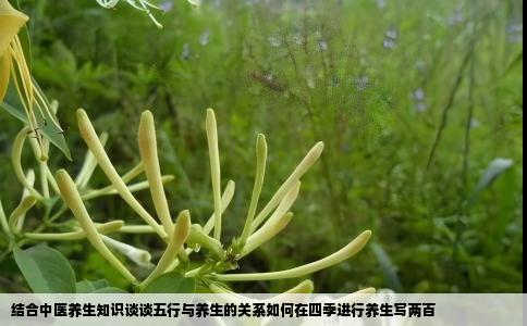 结合中医养生知识谈谈五行与养生的关系如何在四季进行养生写两百