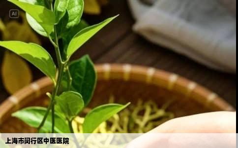 上海市闵行区中医医院