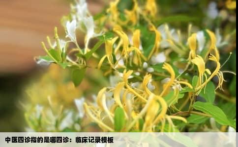 中医四诊指的是哪四诊：临床记录模板