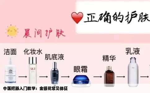 中医把脉入门教学：金银花常见体征