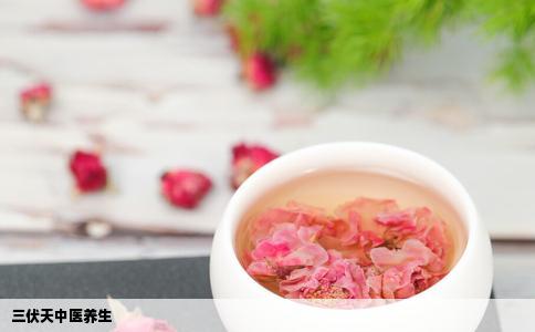 三伏天中医养生