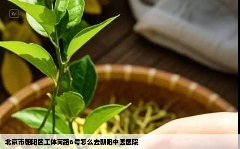 北京市朝阳区工体南路6号怎么去朝阳中医医院