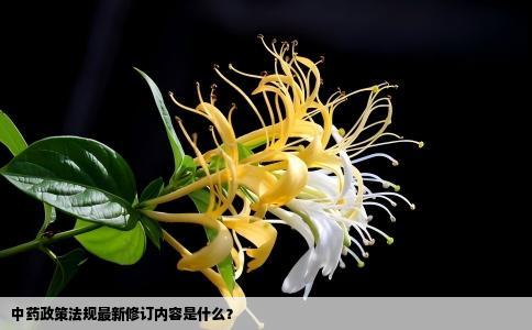 中药政策法规最新修订内容是什么？