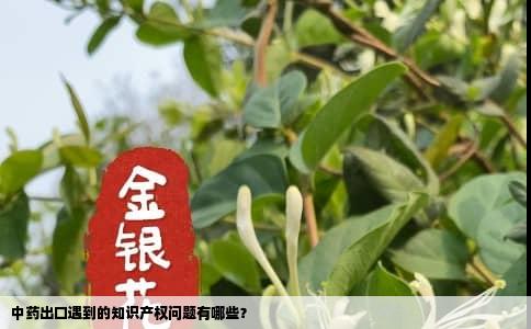 中药出口遇到的知识产权问题有哪些？