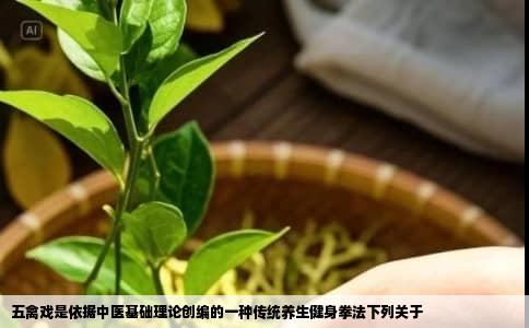 五禽戏是依据中医基础理论创编的一种传统养生健身拳法下列关于