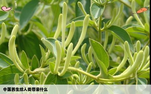 中医养生给人类带来什么