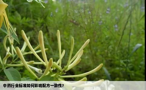 中药行业标准如何影响配方一致性?