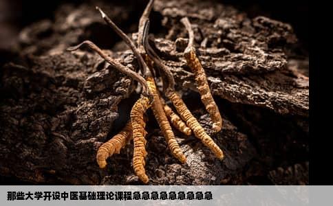 那些大学开设中医基础理论课程急急急急急急急急急