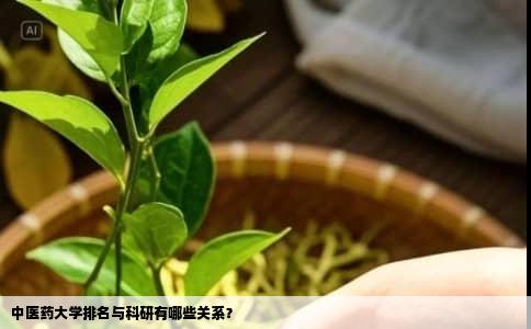 中医药大学排名与科研有哪些关系？