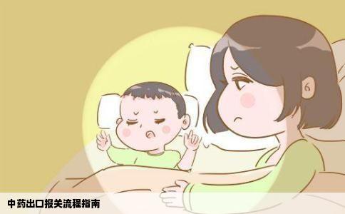 中药出口报关流程指南