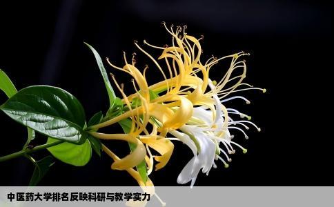 中医药大学排名反映科研与教学实力