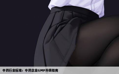 中药行业标准：中药企业GMP升级指南
