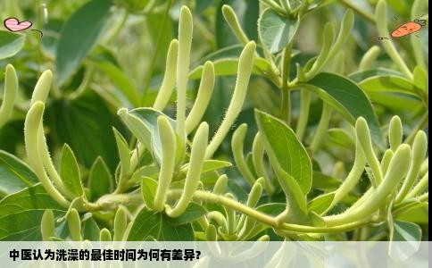 中医认为洗澡的最佳时间为何有差异？