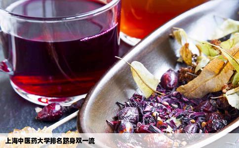 上海中医药大学排名跻身双一流