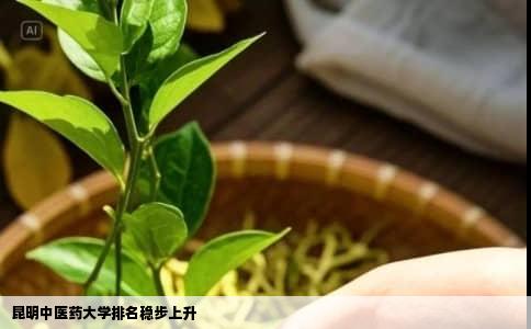 昆明中医药大学排名稳步上升