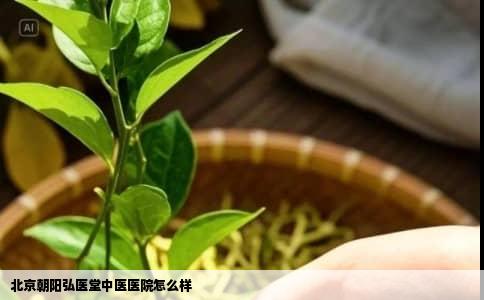 北京朝阳弘医堂中医医院怎么样