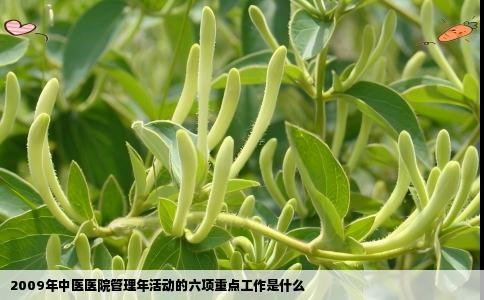 2009年中医医院管理年活动的六项重点工作是什么