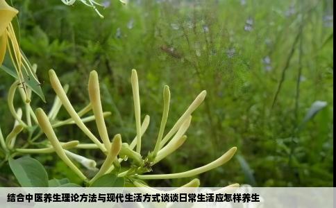 结合中医养生理论方法与现代生活方式谈谈日常生活应怎样养生