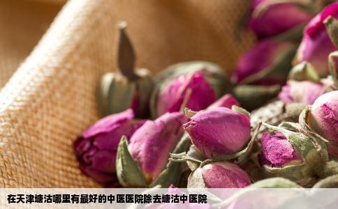 在天津塘沽哪里有最好的中医医院除去塘沽中医院
