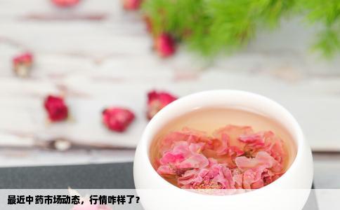 最近中药市场动态，行情咋样了？