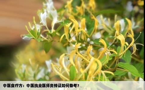 中医食疗方：中医执业医师资格证如何备考？