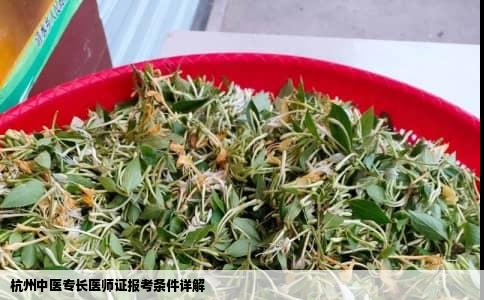 杭州中医专长医师证报考条件详解