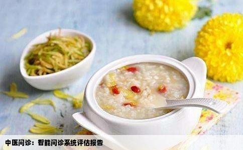 中医问诊：智能问诊系统评估报告